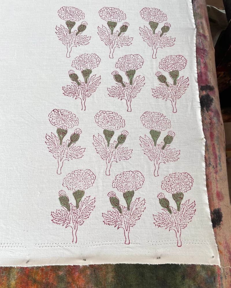 Marigold — fase 3