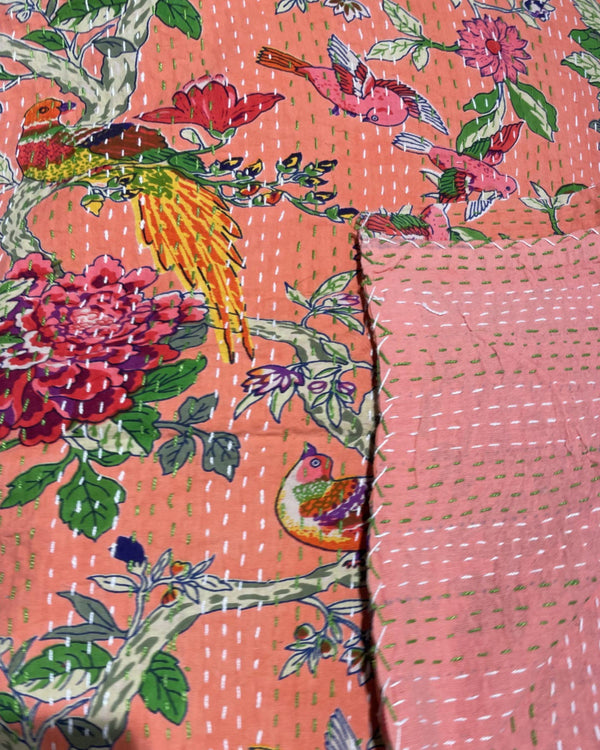 Parrot